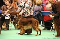 Crufts2011 469